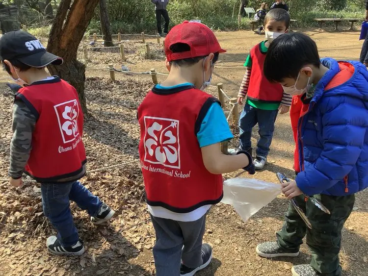 Outdoor activities and trips for children