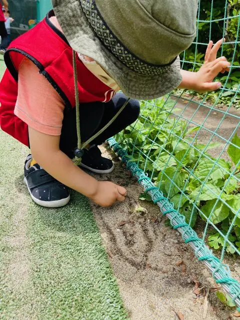 One of our Petals friends wanted to draw on the sand at the green area..