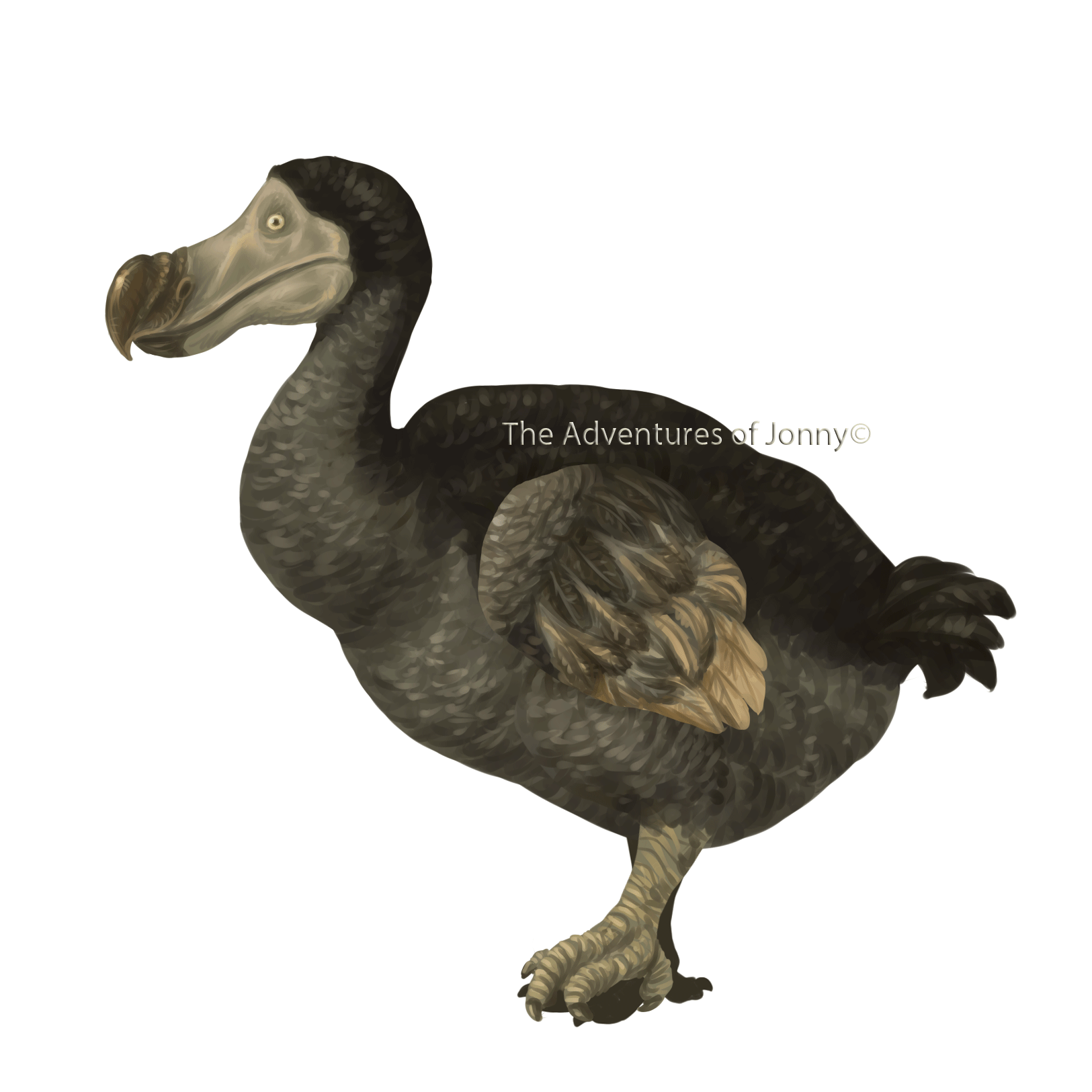 Image from: https://www.deviantart.com/plazmodon/art/Dodo-walking-GIF-546361147